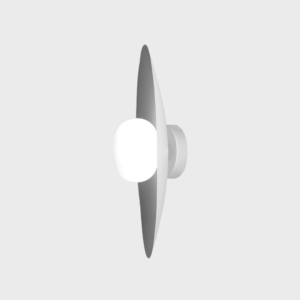 Disk
