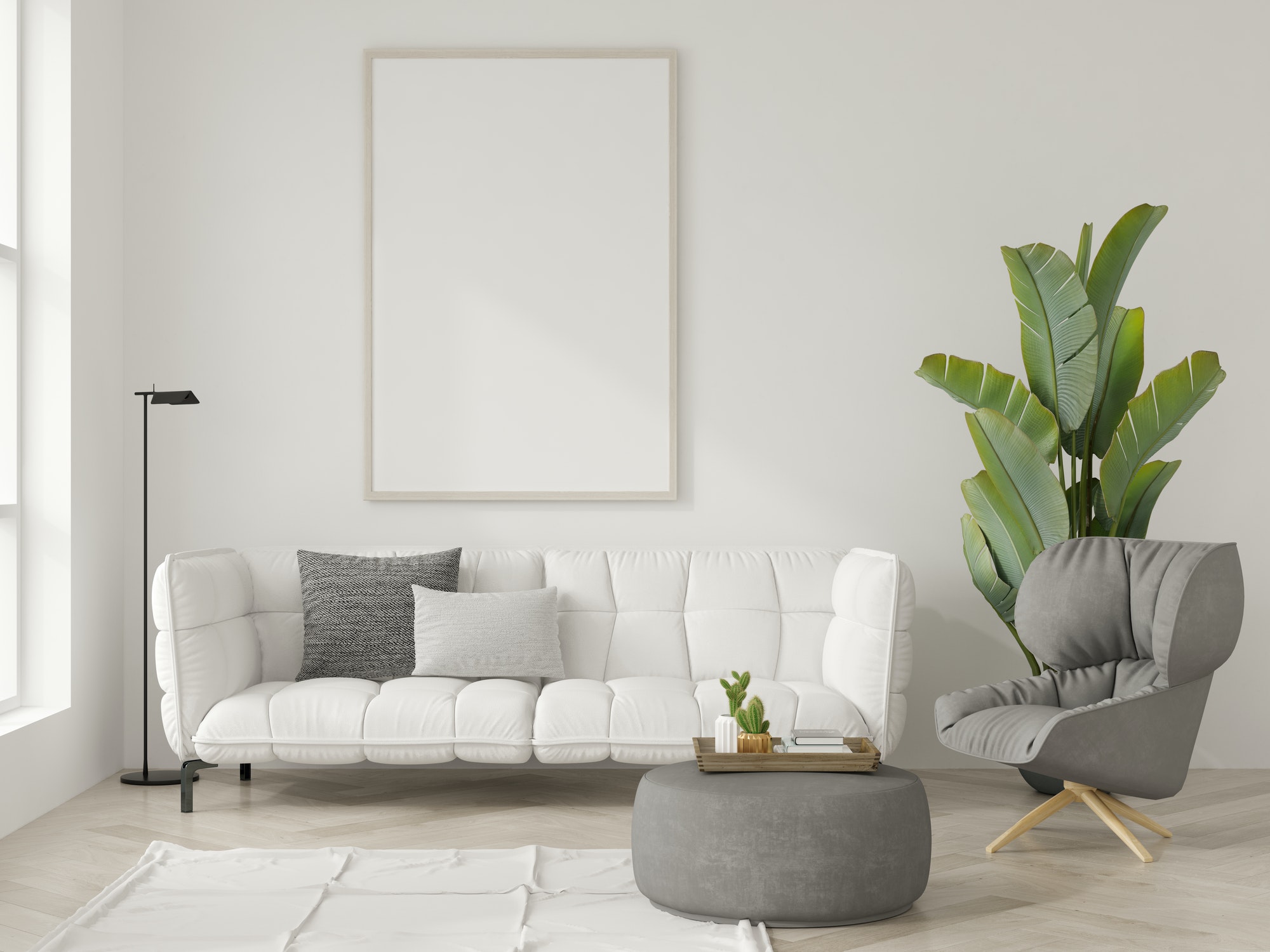 Explore Our Collection